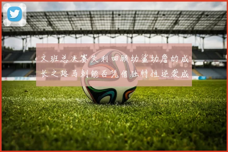 文班总决赛失利回顾幼鲨幼詹的成长之路马刺能否凭借独特性逆袭成功