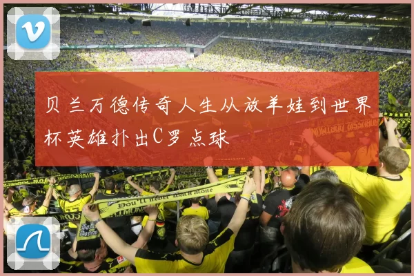 贝兰万德传奇人生从放羊娃到世界杯英雄扑出C罗点球